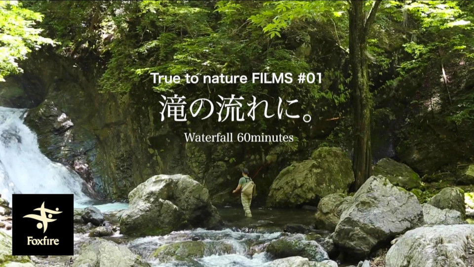 新動画コンテンツ True To Nature Films 公開のお知らせ ニュース Foxfire フォックスファイヤー アウトドア フィッシング